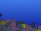 reef1.png